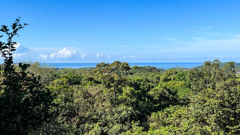 Oceanview White Villa Jungle and Ocean View